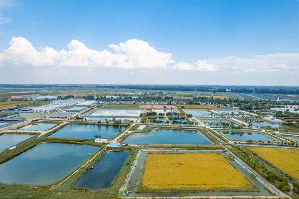 Ecological farming