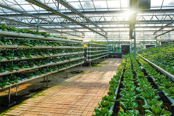 Organic products