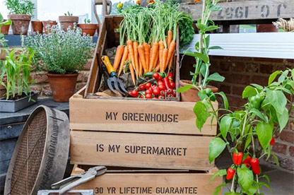 The best vegetables to grow in a greenhouse, according to Hartley Botanic